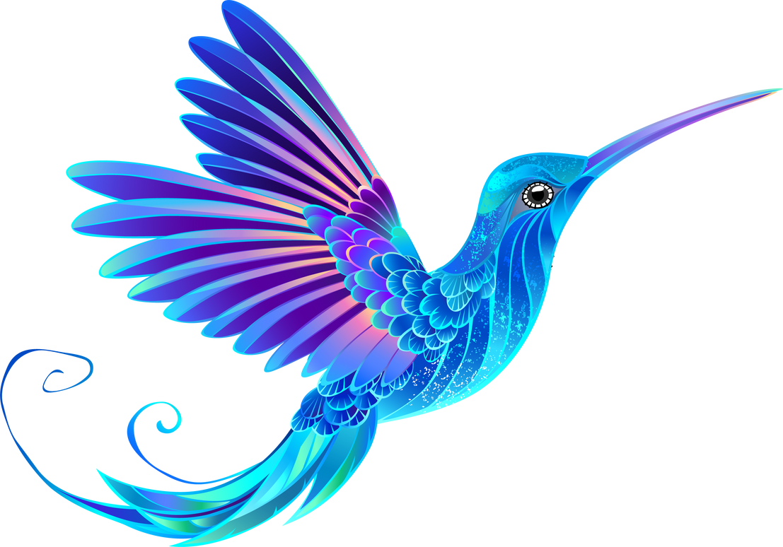 Blue Hummingbird